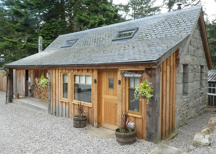 Wildcat Lodge