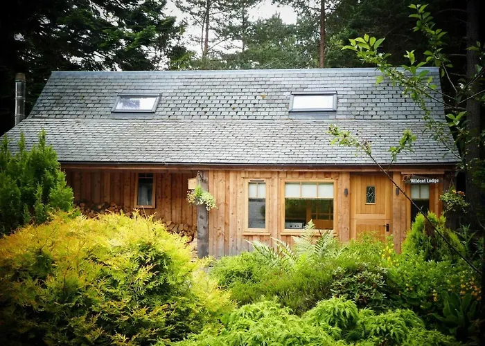 Wildcat Lodge