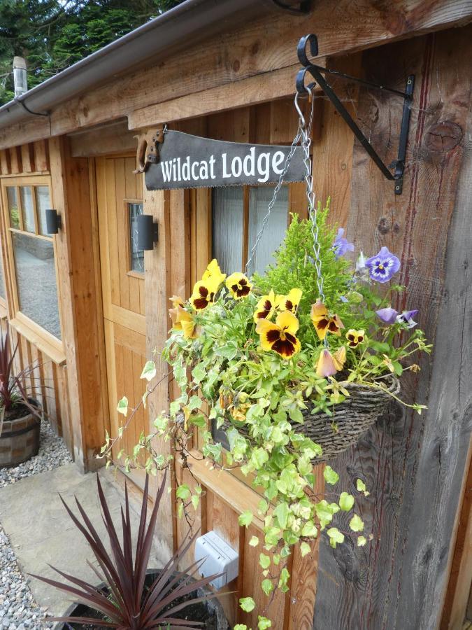 Holiday home Wildcat *