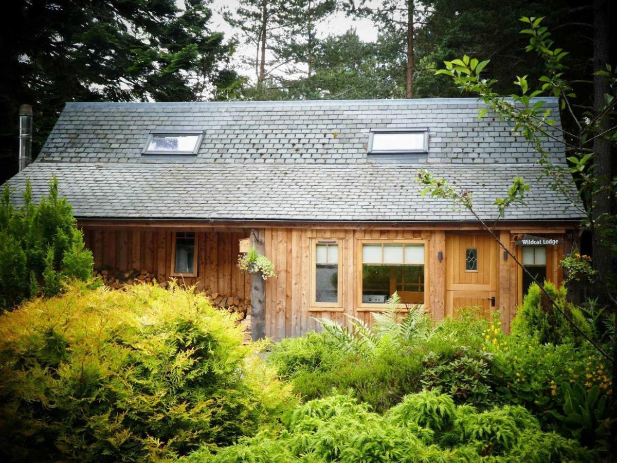Wildcat Holiday home
